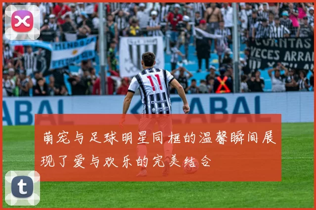 萌宠与足球明星同框的温馨瞬间展现了爱与欢乐的完美结合