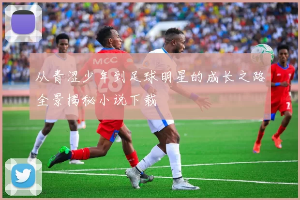 从青涩少年到足球明星的成长之路全景揭秘小说下载