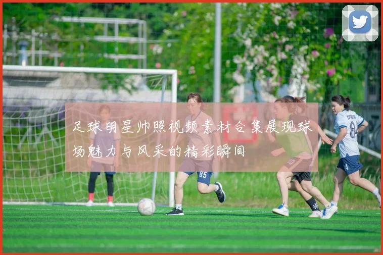足球明星帅照视频素材合集展现球场魅力与风采的精彩瞬间