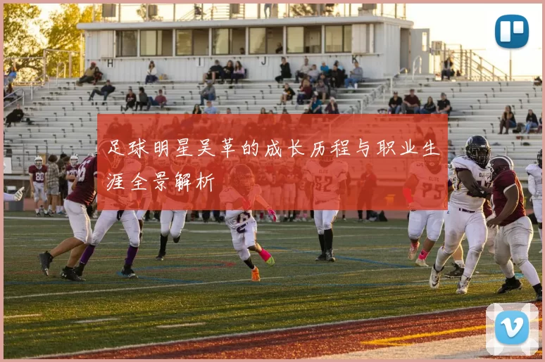 足球明星吴革的成长历程与职业生涯全景解析