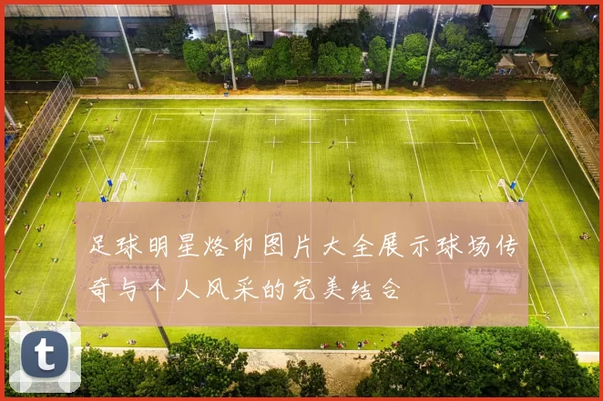 足球明星烙印图片大全展示球场传奇与个人风采的完美结合