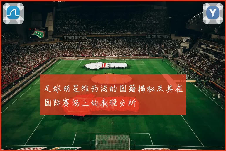 足球明星维西诺的国籍揭秘及其在国际赛场上的表现分析